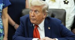 'A lot' of Americans would 'like a dictator', Trump says