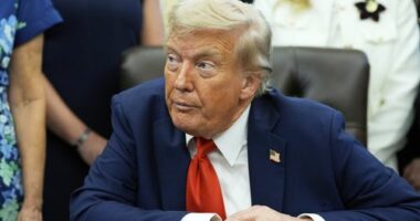 'A lot' of Americans would 'like a dictator', Trump says