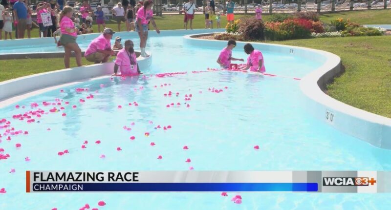 'Flamazing Race' raises money for Champaign-Urbana non-profit