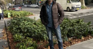 Aï»¿ City of Sydney councillor is fighting for more fencing around some of the city's green spaces to protect them from being damaged by pedestrians and pets.