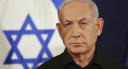 'His record is forever tarnished': Netanyahu escalates personal attack on Albanese
