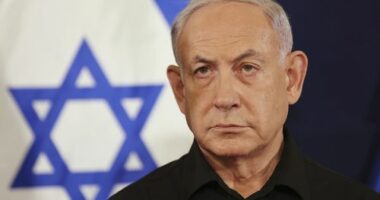 'His record is forever tarnished': Netanyahu escalates personal attack on Albanese