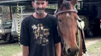'Left alone to die': Family's plea after man killed in hit and run