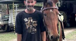 'Left alone to die': Family's plea after man killed in hit and run