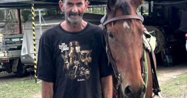 'Left alone to die': Family's plea after man killed in hit and run