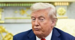'Maybe they will, maybe they won't': Trump voices doubt over Zelenskyy-Putin talks