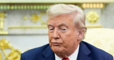 'Maybe they will, maybe they won't': Trump voices doubt over Zelenskyy-Putin talks