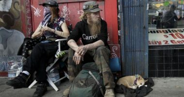 'Pack the Bags, We're Going on a Guilt Trip'—the Secret to the Democrats' Success