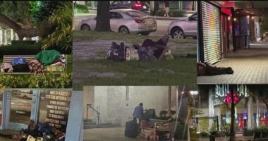 'Punishing people for sleeping outside will not end homelessness,' SPLC files motion to intervene in suit against city of St. Pete
