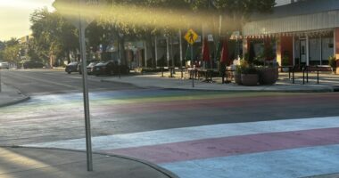 'Save our Street Murals': protest planned today in St. Pete
