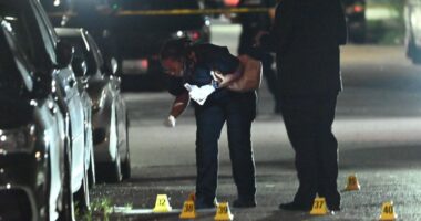 Forensic investigators collecting evidence at a mass shooting scene.
