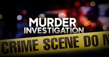 14 y.o. Florida boy calls police after allegedly killing parents
