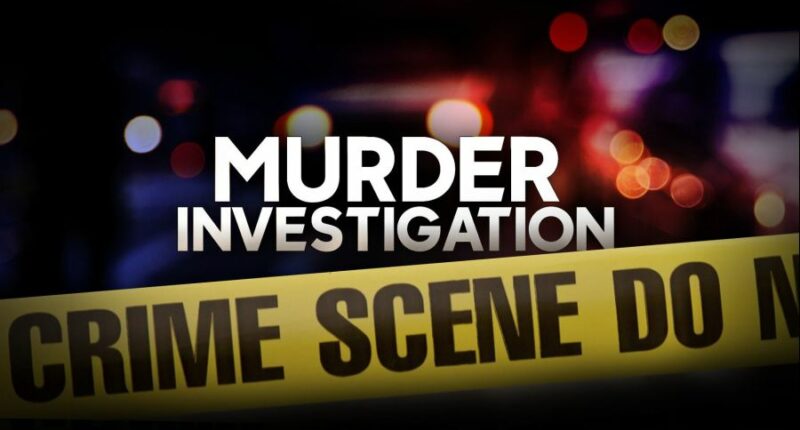 14 y.o. Florida boy calls police after allegedly killing parents
