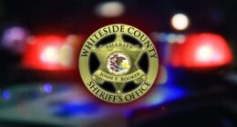 1,400 pound black steer stolen in Whiteside County