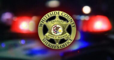 1,400 pound black steer stolen in Whiteside County