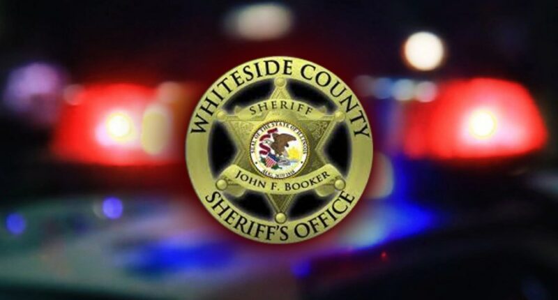 1,400 pound black steer stolen in Whiteside County