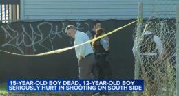 15-year-old Alex Durante killed in double Canaryville, Chicago shooting; police speaking to person of interest