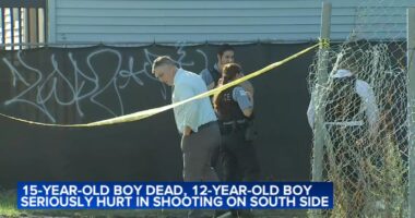 15-year-old Alex Durante killed in double Canaryville, Chicago shooting; police speaking to person of interest