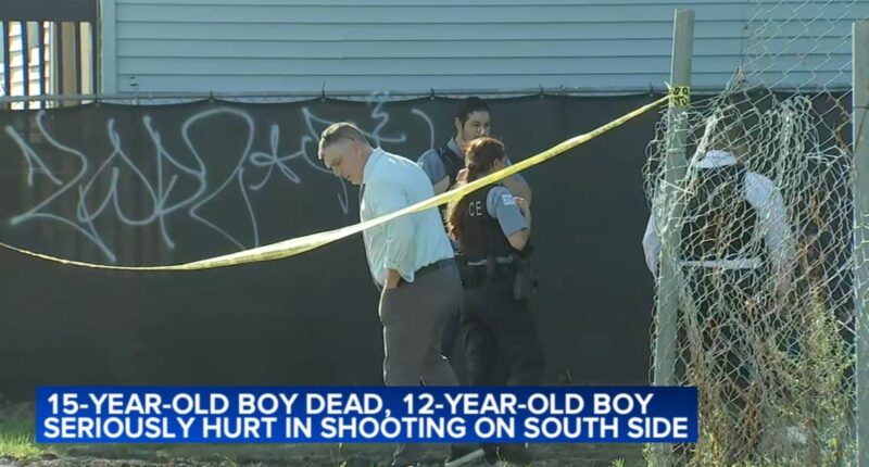 15-year-old Alex Durante killed in double Canaryville, Chicago shooting; police speaking to person of interest
