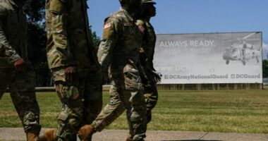 1,700 National Guard troops to be 'force multiplier' for ICE: Homan