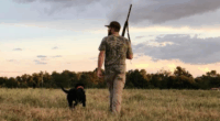 Dove hunting season to open September
