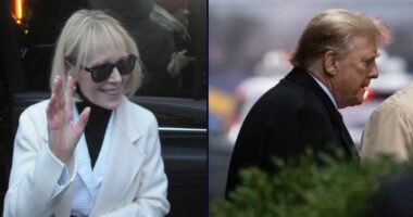 2nd Circuit explains rejection of Trump's Westfall request