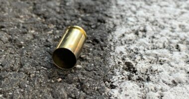 2nd suspect arrested 2 years after man gunned down outside Tampa apartments: HCSO