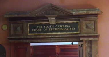 3 South Carolina lawmakers have resigned: What's next?