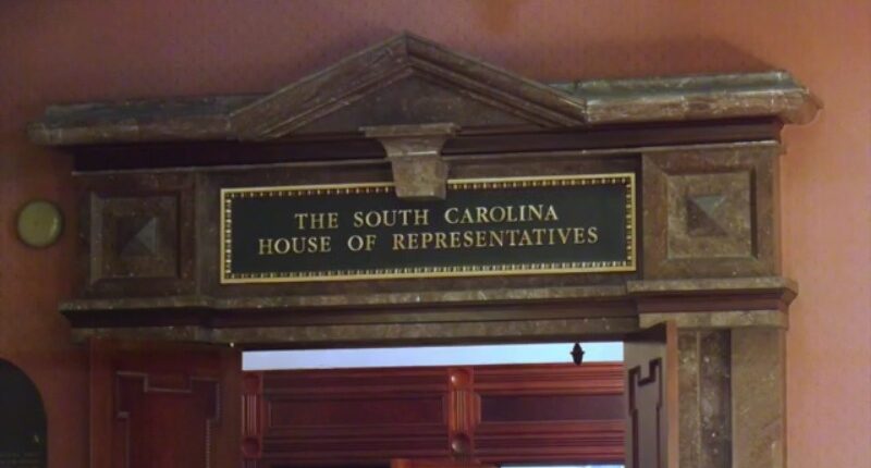 3 South Carolina lawmakers have resigned: What's next?