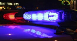 3 teens arrested after Glynn County carjacking incident leaves man shot in leg