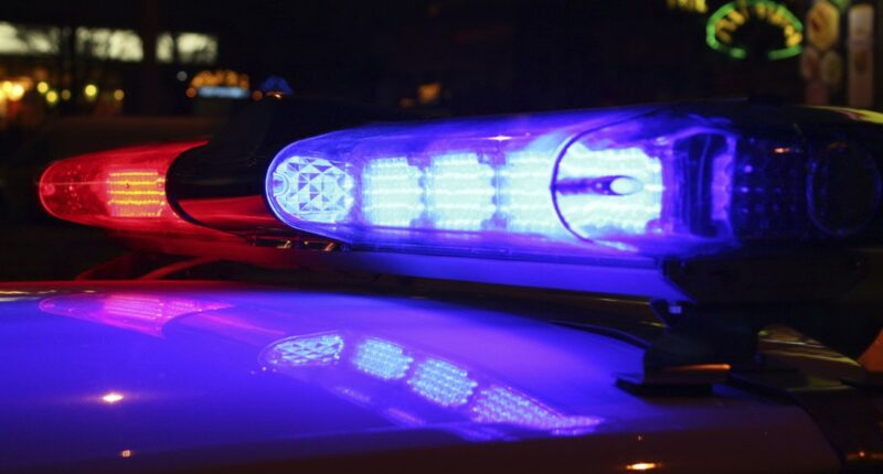 3 teens arrested after Glynn County carjacking incident leaves man shot in leg
