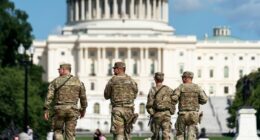 38 percent nationwide support Trump DC National Guard deployment: Survey