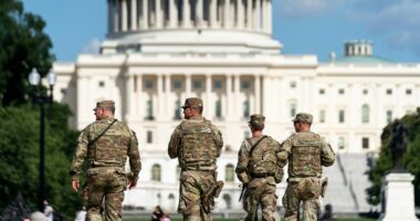 38 percent nationwide support Trump DC National Guard deployment: Survey