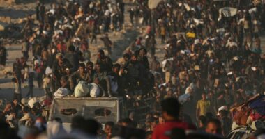 4 Palestinians shot dead by Israeli forces while seeking aid near Gaza City, witnesses say