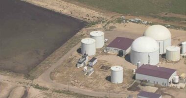 6 dead after 'dairy accident' in Colorado: Fire Chief