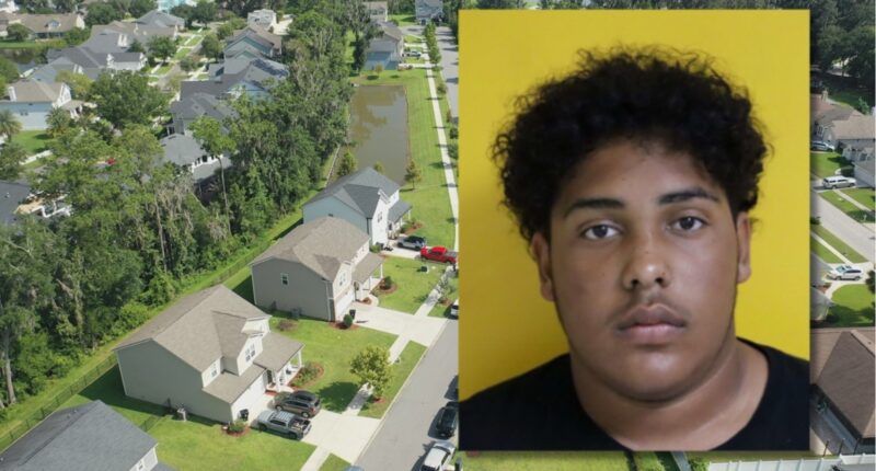 911 call released of Florida teen who said he killed his parents