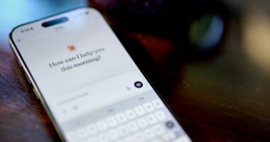 A hacker used AI to automate an 'unprecedented' cybercrime spree, Anthropic says