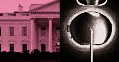 A little-known approach to infertility is complicating the White House's IVF push