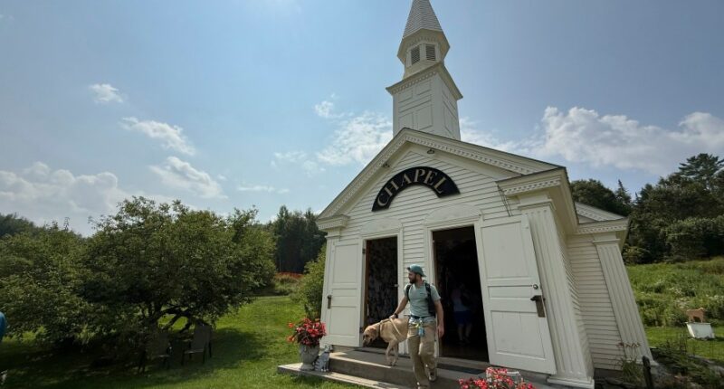 A massive mountain park in Vermont celebrates the bond between dogs and their humans