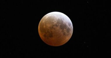 The moon is seen during a total lunar eclipse  on March 14, 2025 in Daytona Beach, Florida.