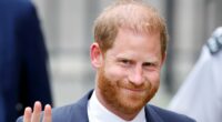 AMANDA PLATELL: I know Meghan and Harry's next move