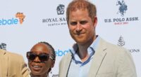 AMANDA PLATELL: The reason for Harry's string of disasters is so clear