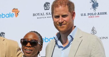 AMANDA PLATELL: The reason for Harry's string of disasters is so clear