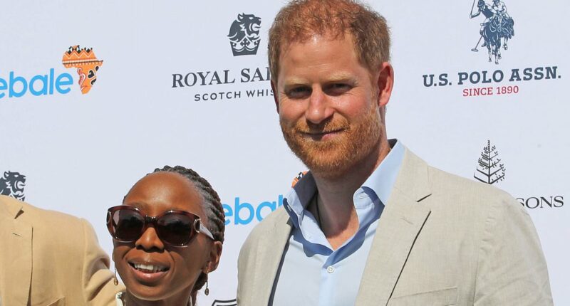 AMANDA PLATELL: The reason for Harry's string of disasters is so clear