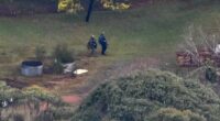 Accused gunman could hide in bush 'for months'