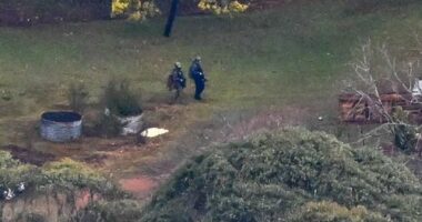 Accused gunman could hide in bush 'for months'
