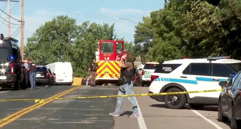 Screenshot of a crime scene with police cars and a firetruck.