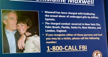 Advocacy group sues Justice Department and FBI for access to Epstein records