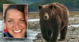 Alaska jogger dragged 100 yards by bear in terrifying predawn attack near driveway