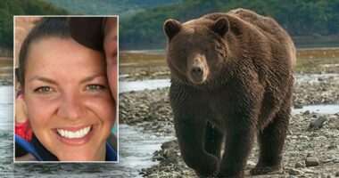 Alaska jogger dragged 100 yards by bear in terrifying predawn attack near driveway